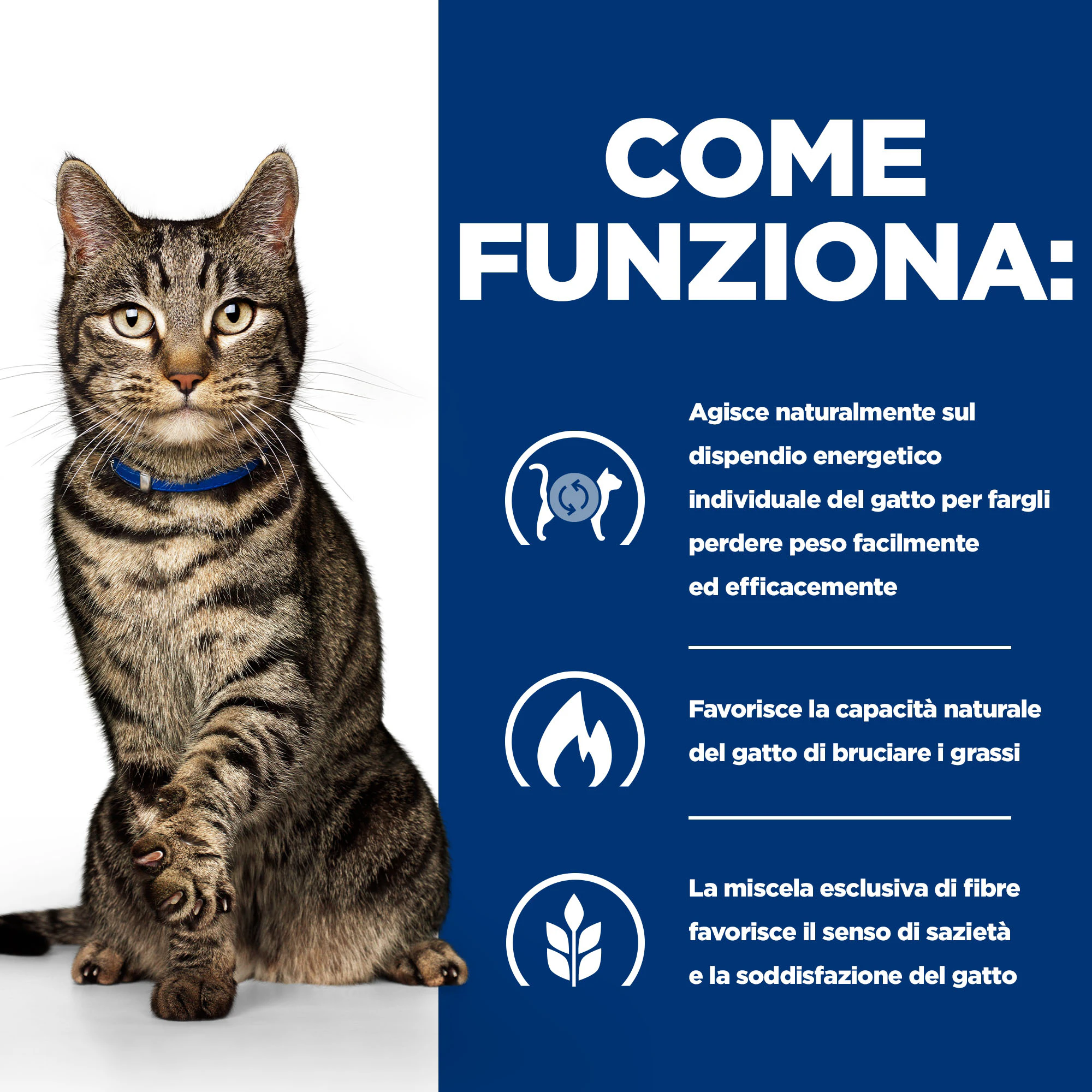 Hill's Metabolic Weight Management - Prescription Diet - Feline - Buste Cibo Umido
