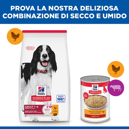 Hill's Science Plan - Medium - Adult - Pollo