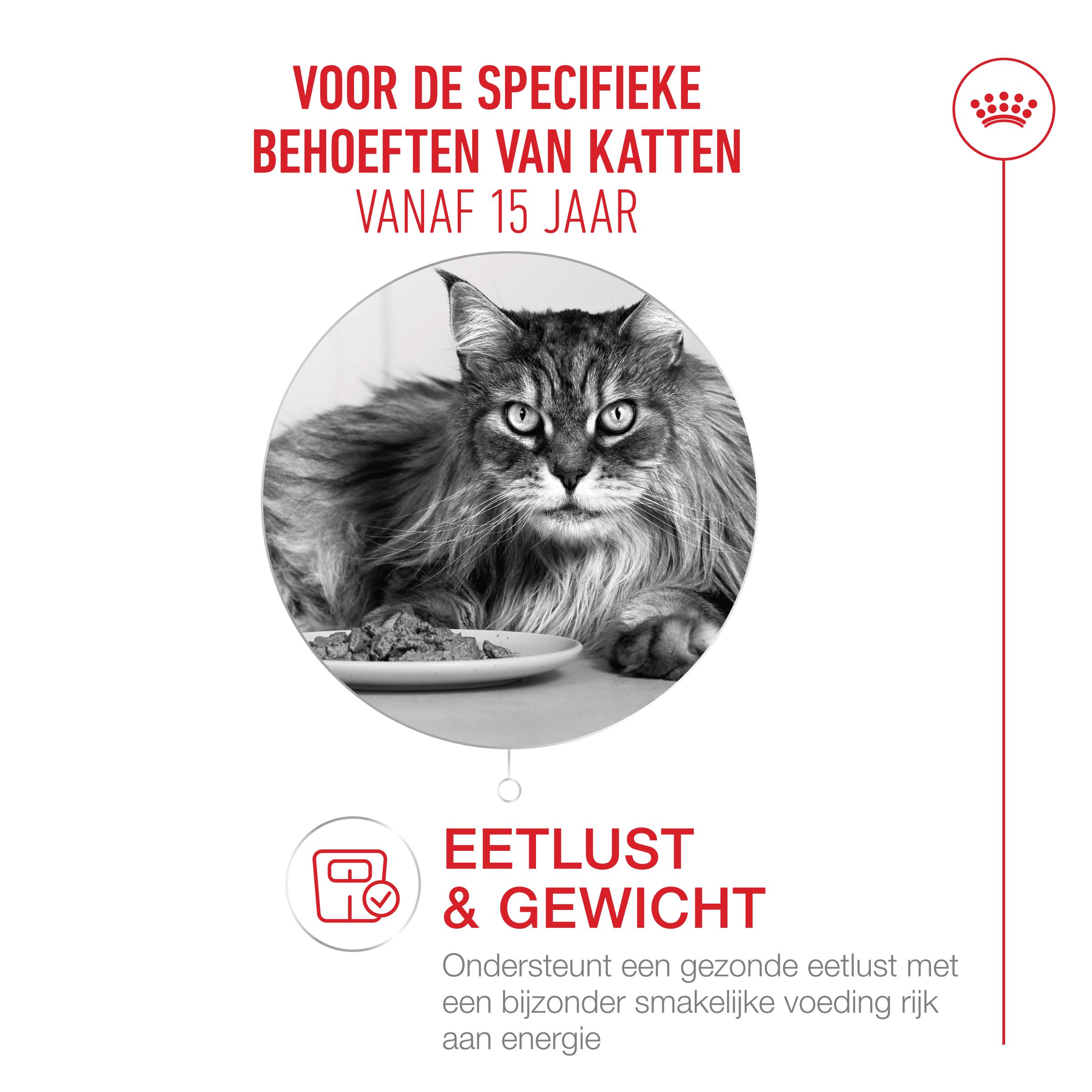 Royal Canin Ageing 15+ in Saus - Kattenvoer