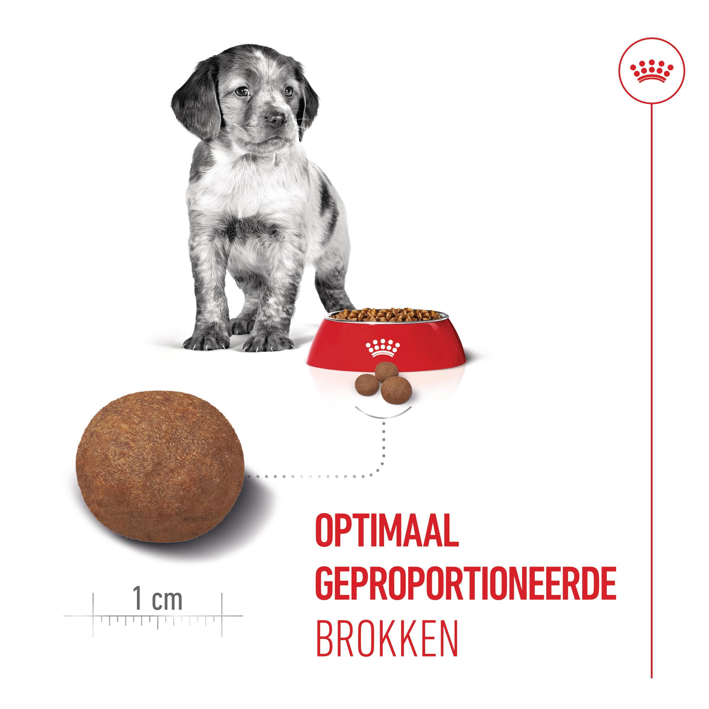 Royal Canin Medium Puppy - Hondenvoer