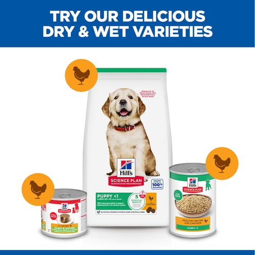 Hill's Science Plan - Large Breed - Puppy - Chicken