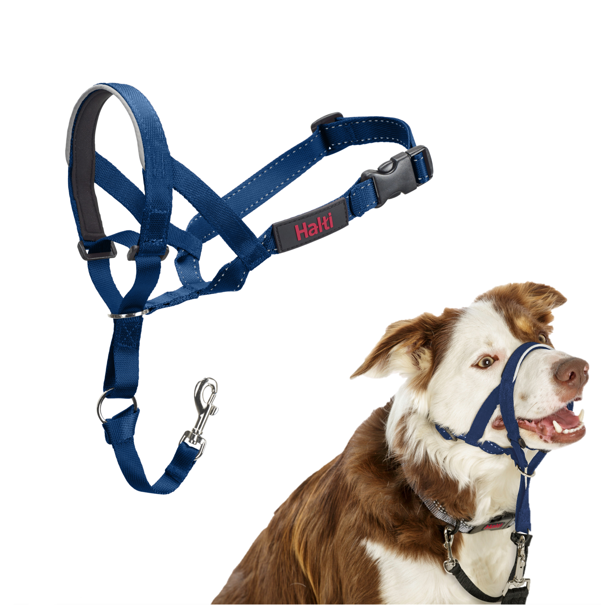 halbfeuchtes hundefutter fressnapf Probierpaket Halbfeuchtes Trockenfutter: Premium Hundefutter