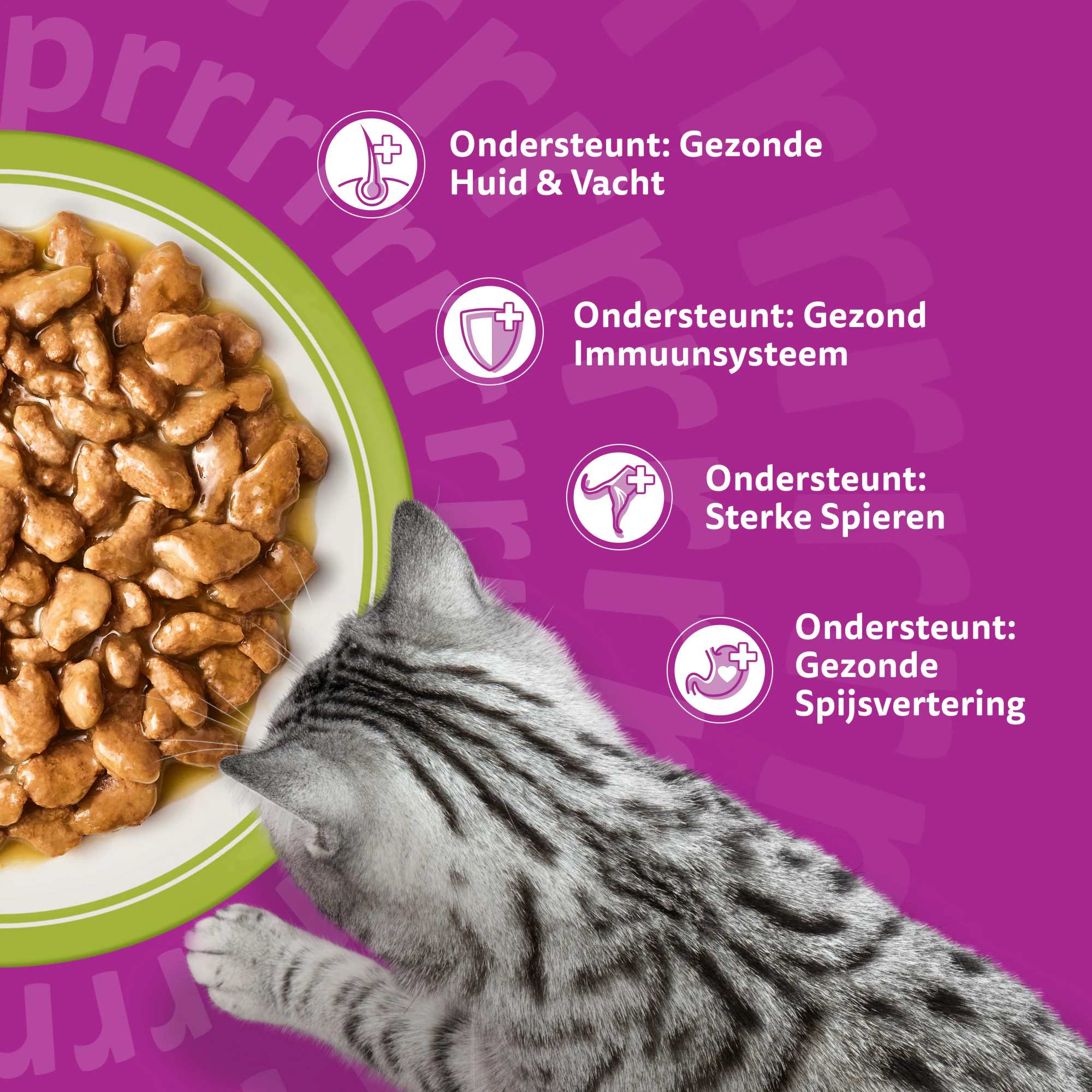 Whiskas 1+ Mixed Menu in Gelei - Maaltijdzakjes