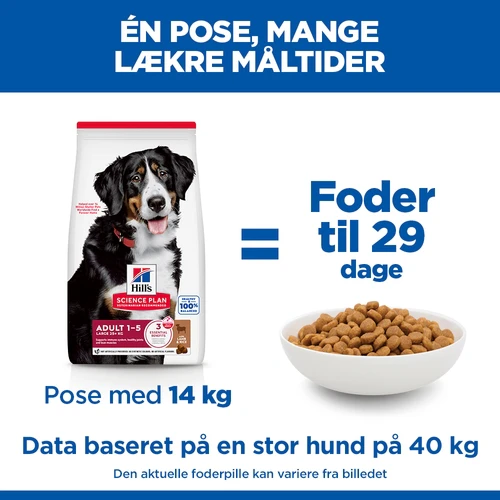 Hill's Science Plan Large Breed - Adult - Lam & Ris
