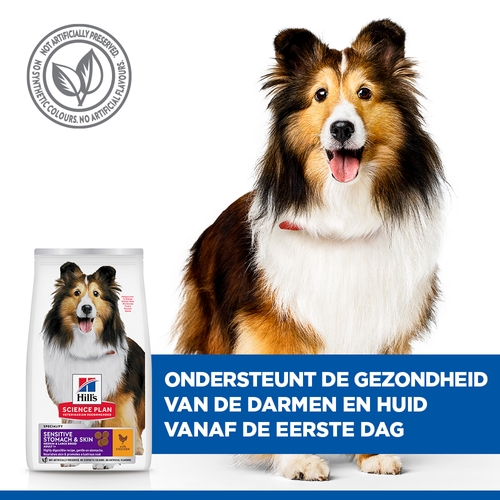 Hill's Science Plan - Canine Adult Sensitive Stomach & Skin