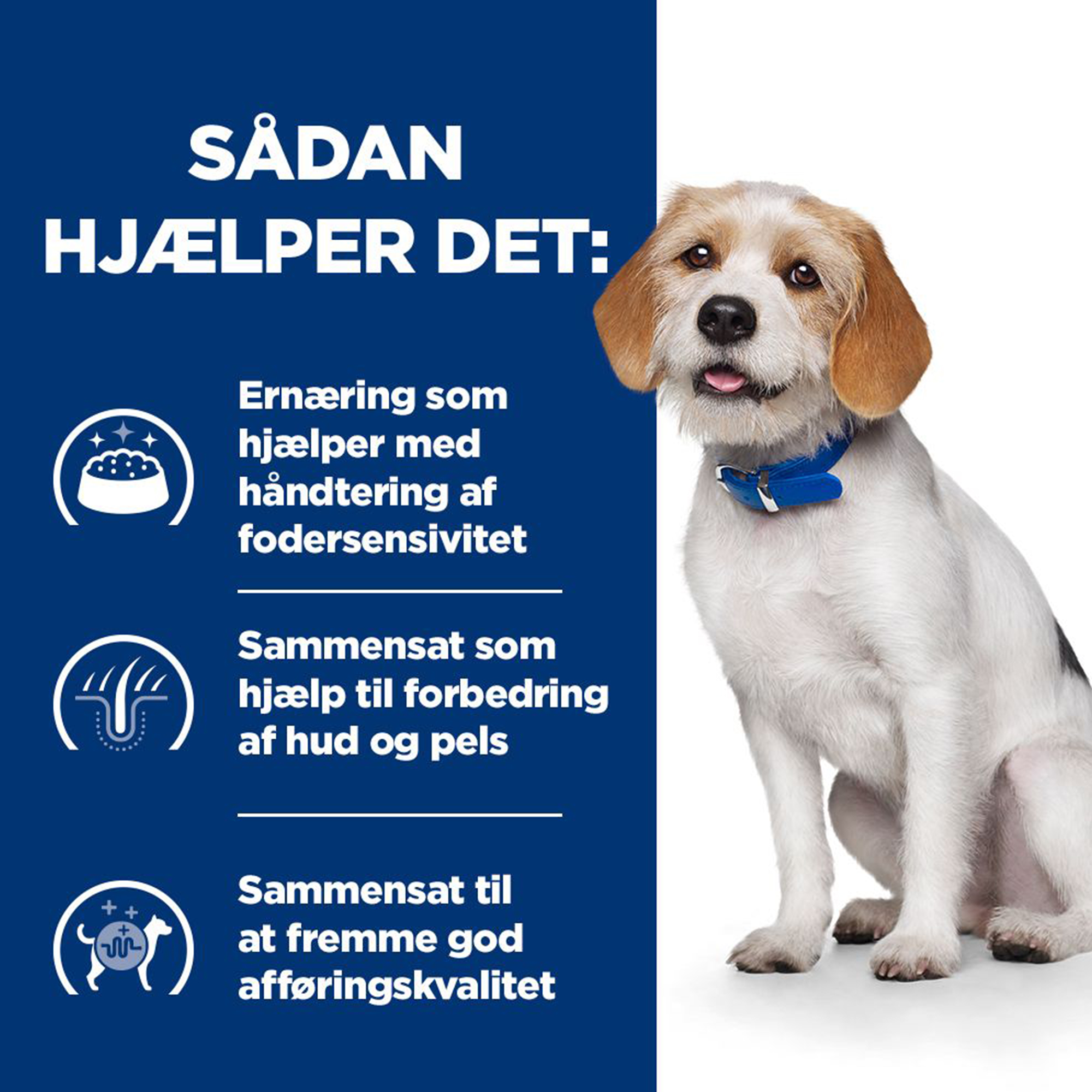 Hill's z/d Low Fat Food Sensitivities - Prescription Diet - Til Hunde