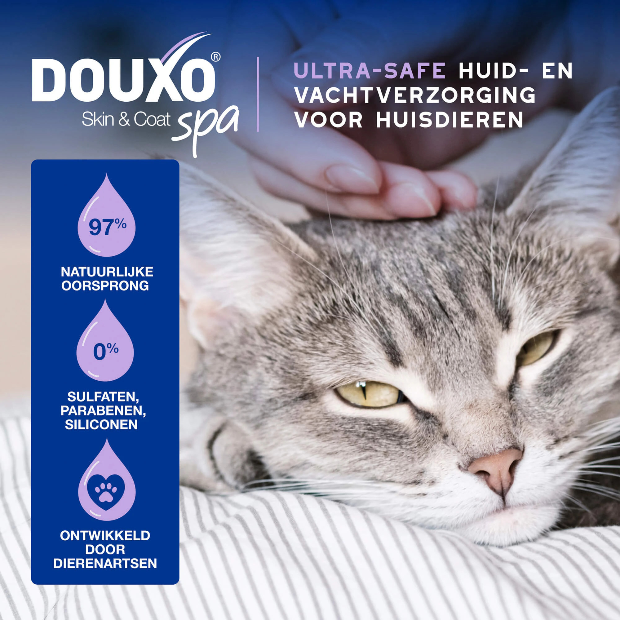 Douxo Spa Cat Mousse