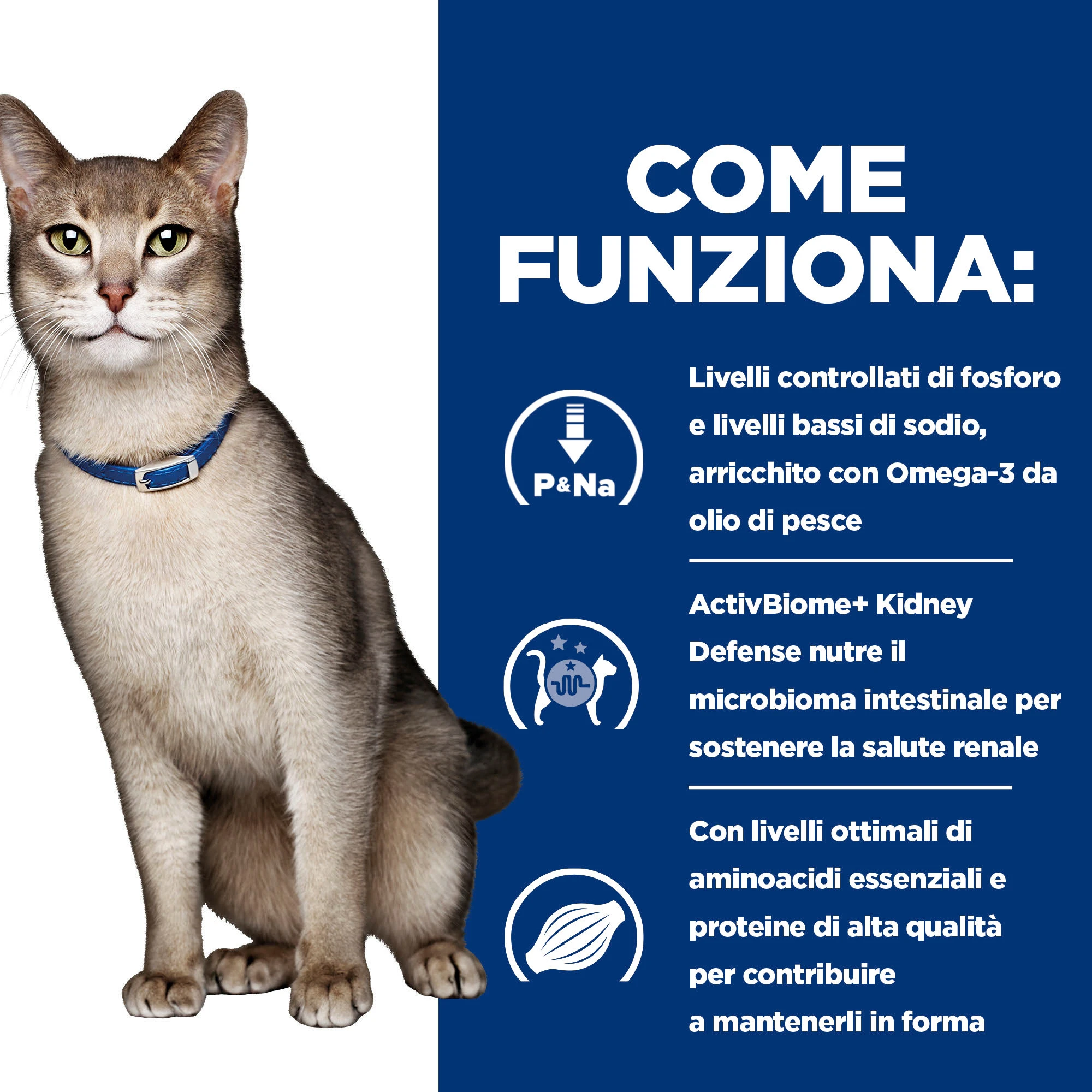 Hill's k/d Kidney Care - Prescription Diet - Feline - Mousse