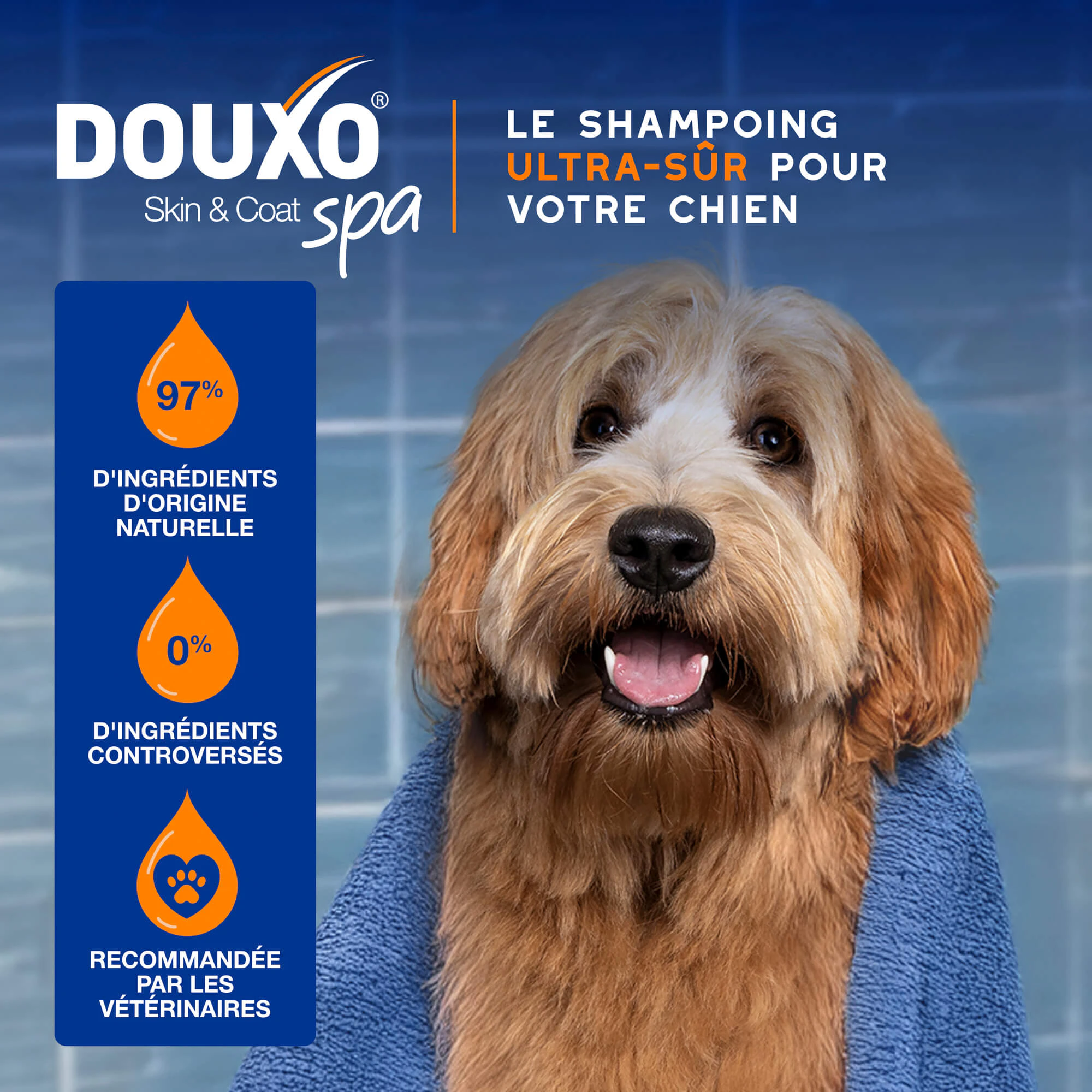 Douxo Spa Shampoo & Conditioner