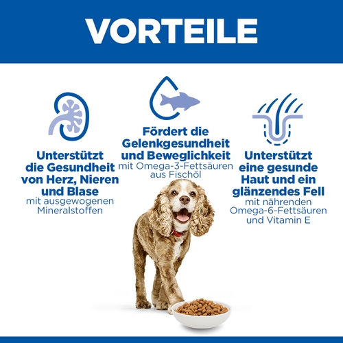 Hill's Science Plan Small & Mini - Senior 11+ - Huhn