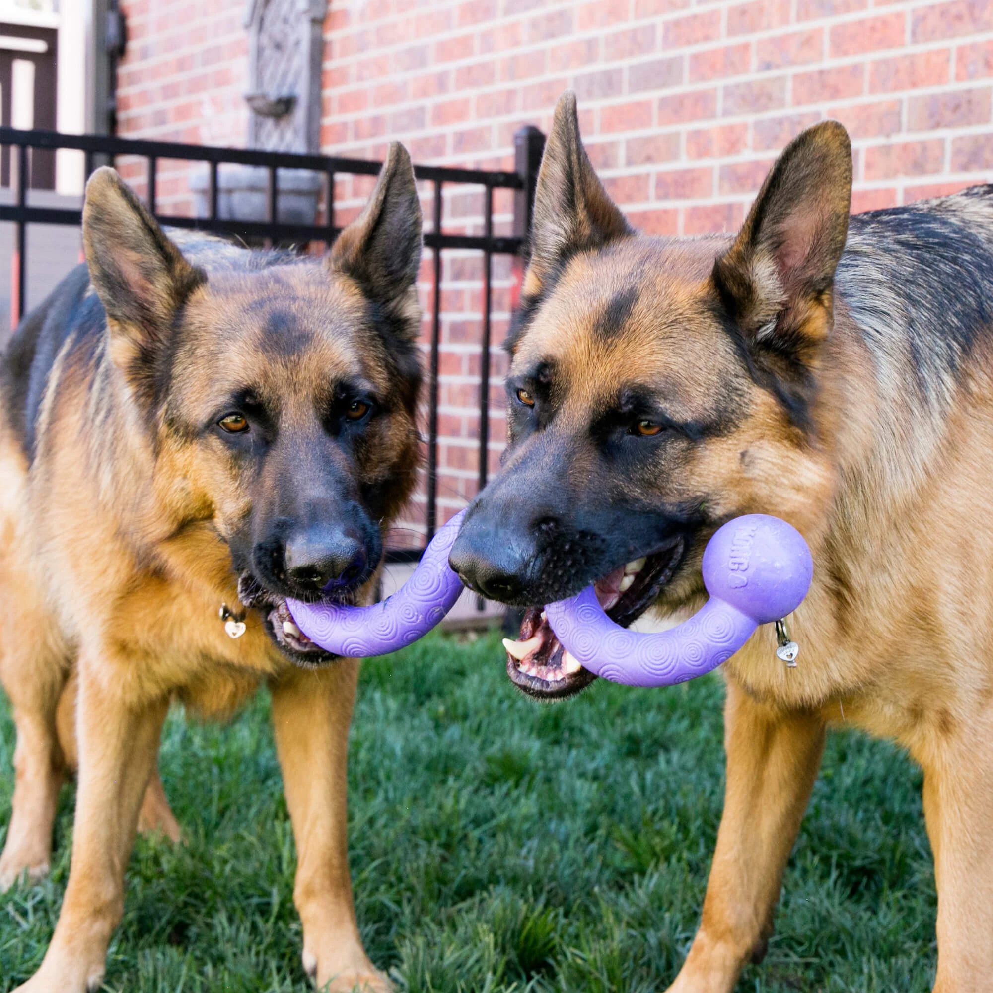 KONG Ogee Foam Stick