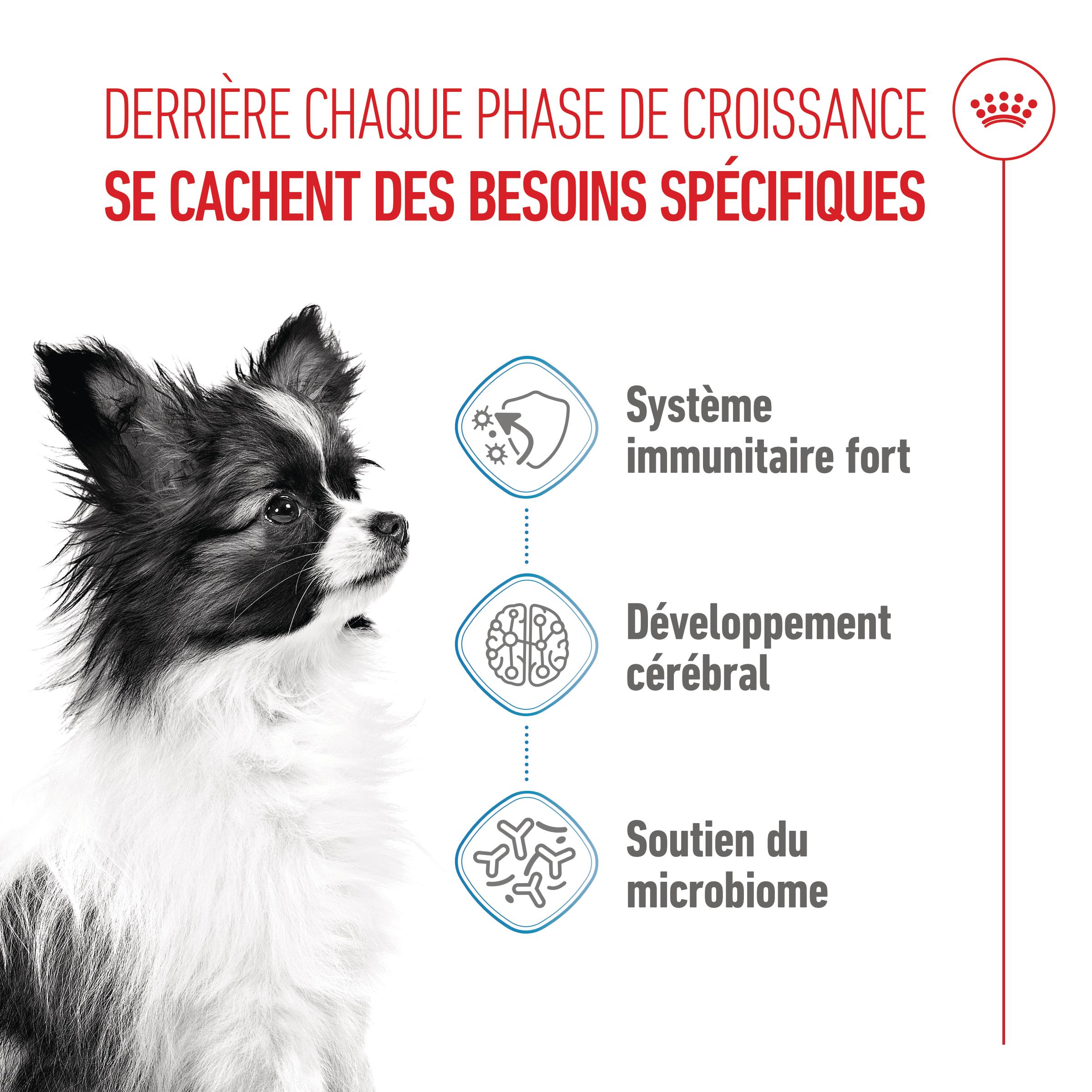 Royal Canin X-Small Puppy
