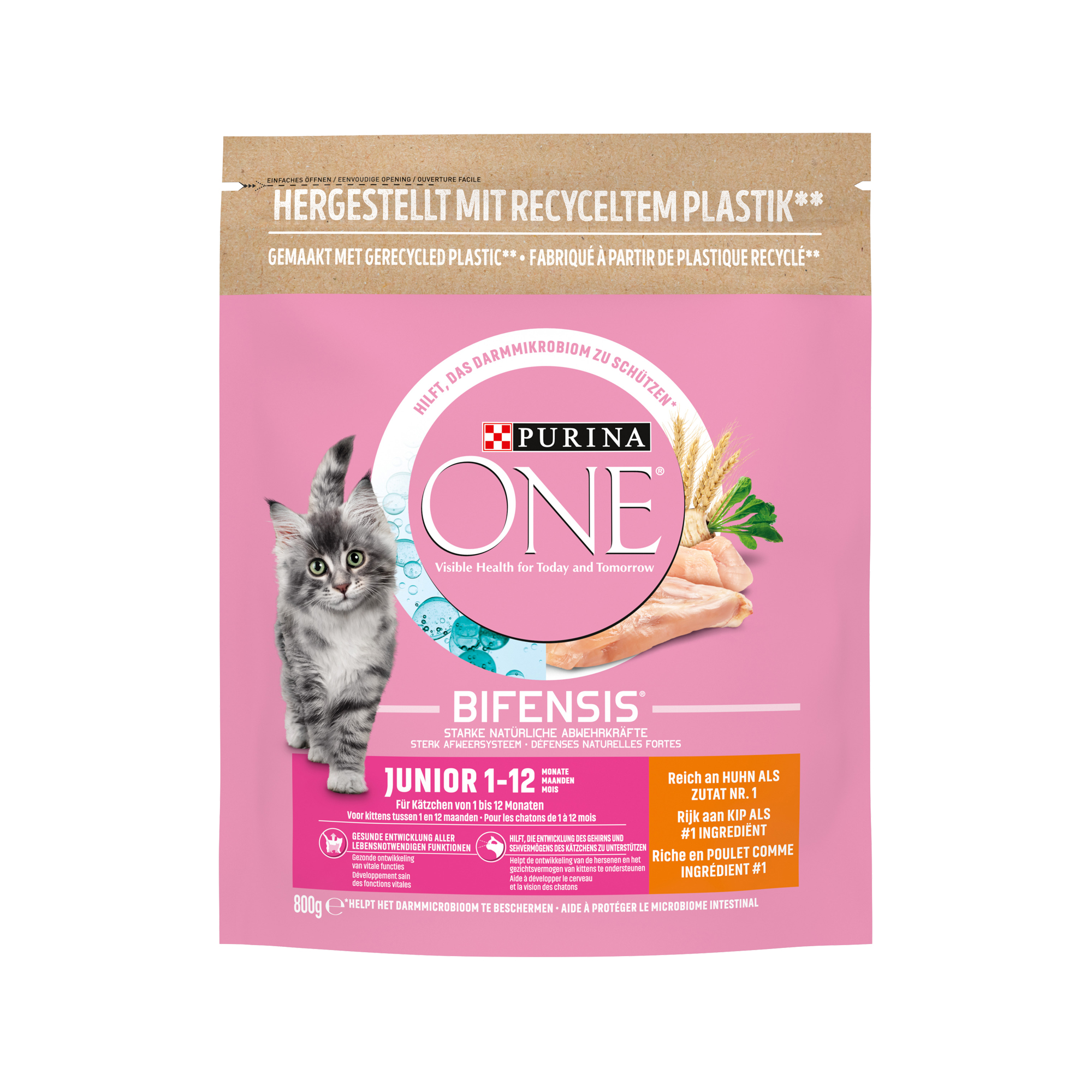Purina ONE Junior