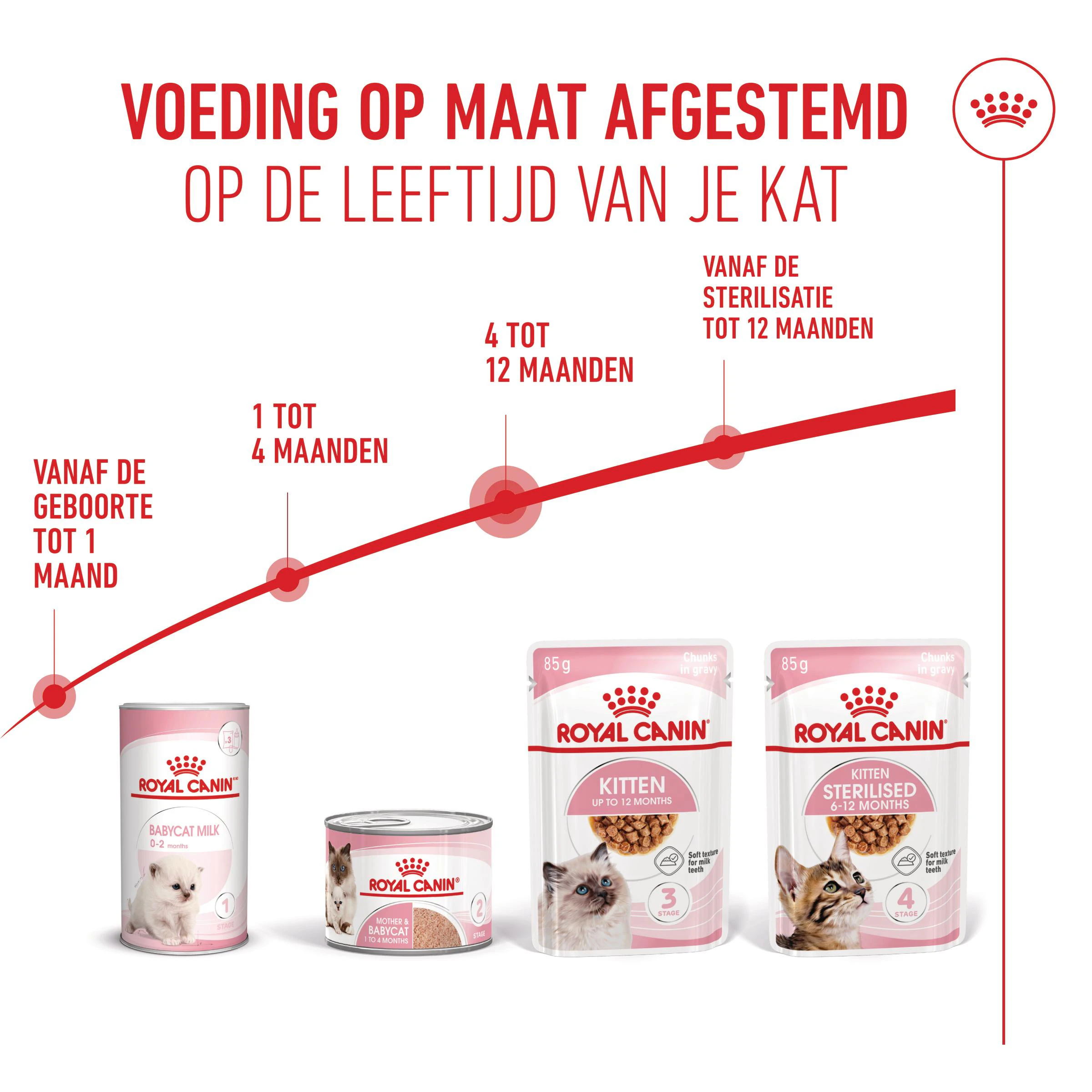 Royal Canin Kitten in Gravy - Kattenvoer