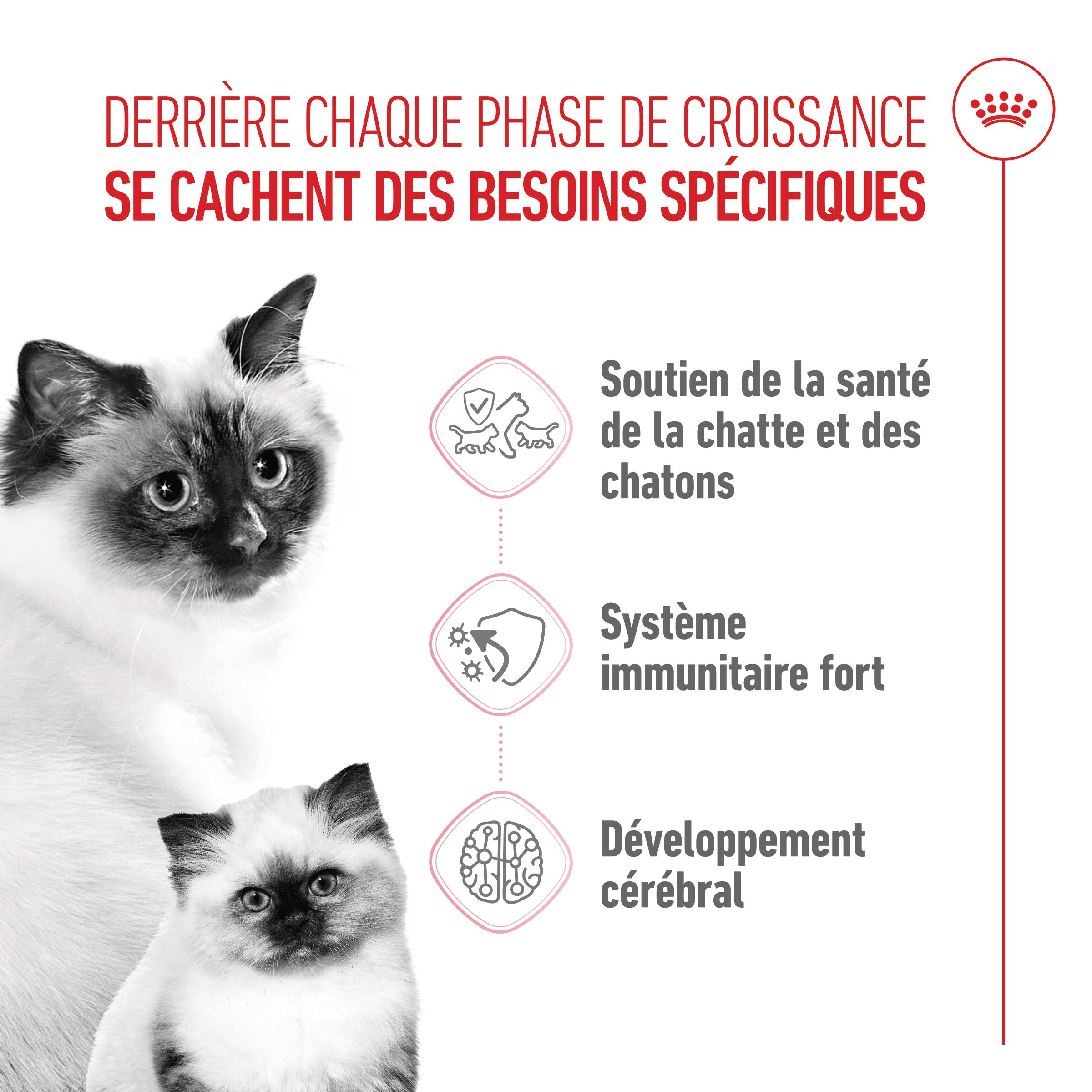 Royal Canin Mother & Babycat