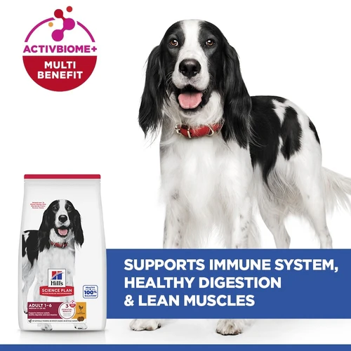 Hill's Science Plan - Medium - Adult - Chicken