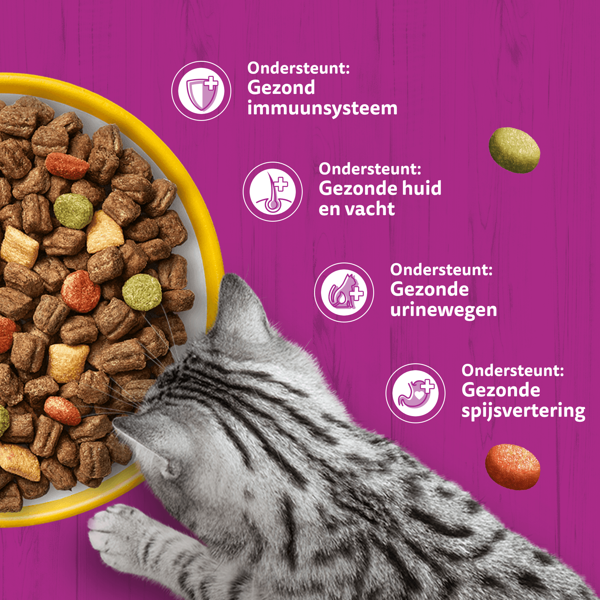 Whiskas Adult Kattenbrokken