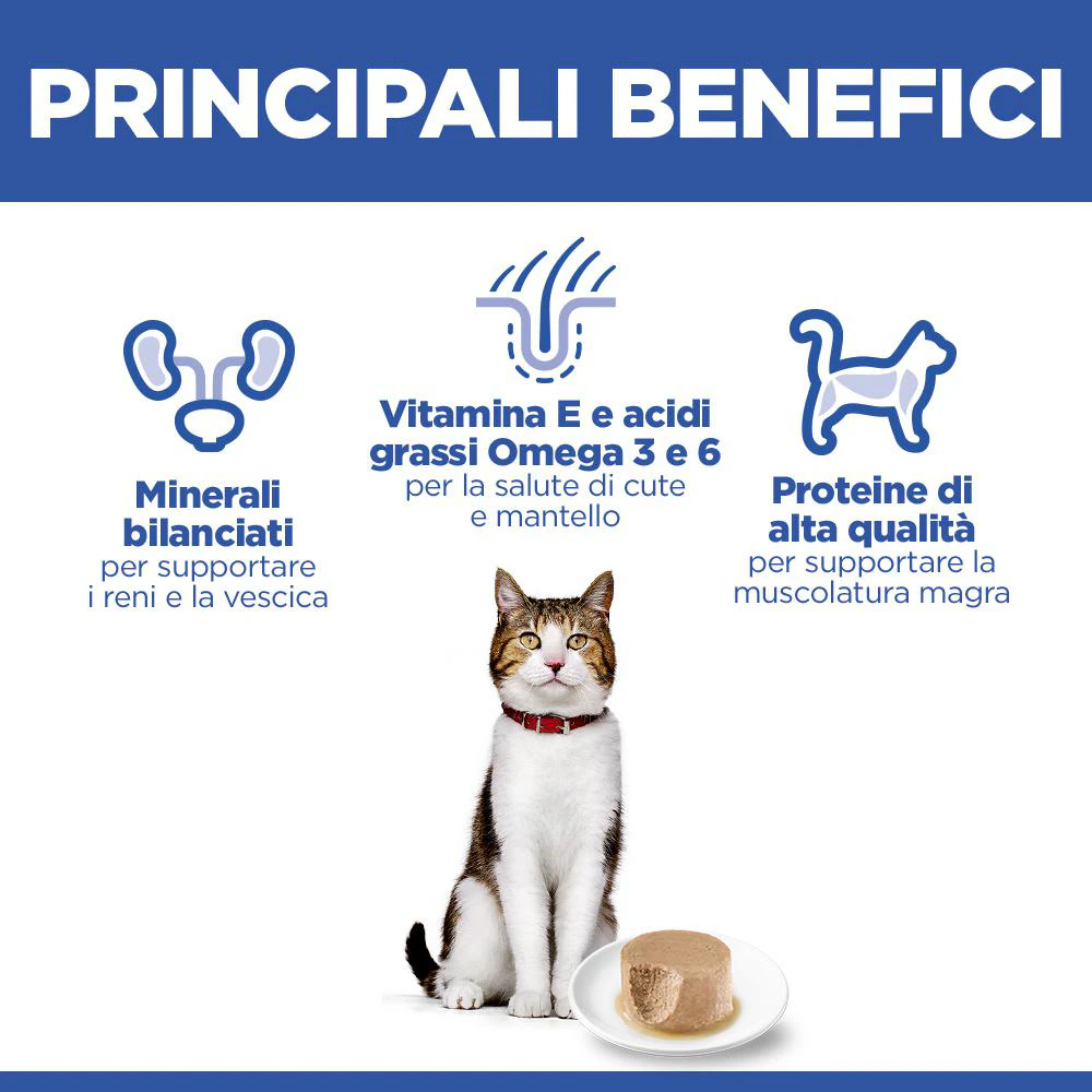 Hill's Science Plan Feline Mature Adult Premium Mousse - Pollo