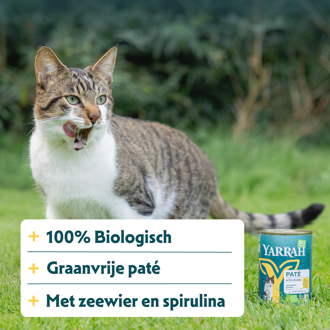 Yarrah - Natvoer Kat Blik Paté met Kip Bio