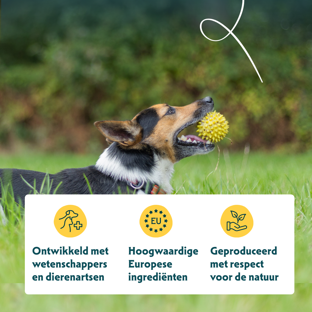 Yarrah - Droogvoer Hond voor kleine rassen Bio
