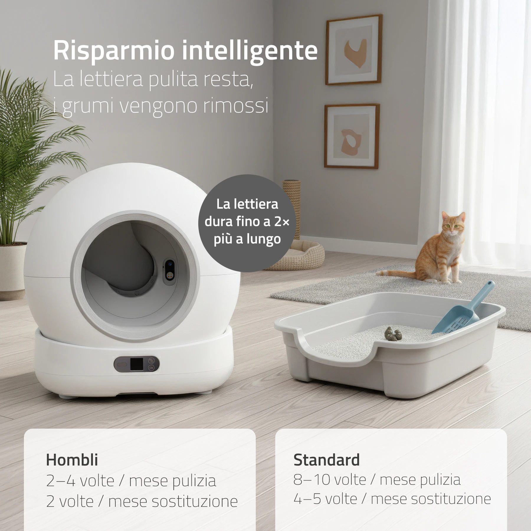 Hombli Smart Lettiera per Gatti con Telecamera