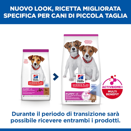 Hill's Science Plan Small & Mini - Puppy - Agnello e Riso