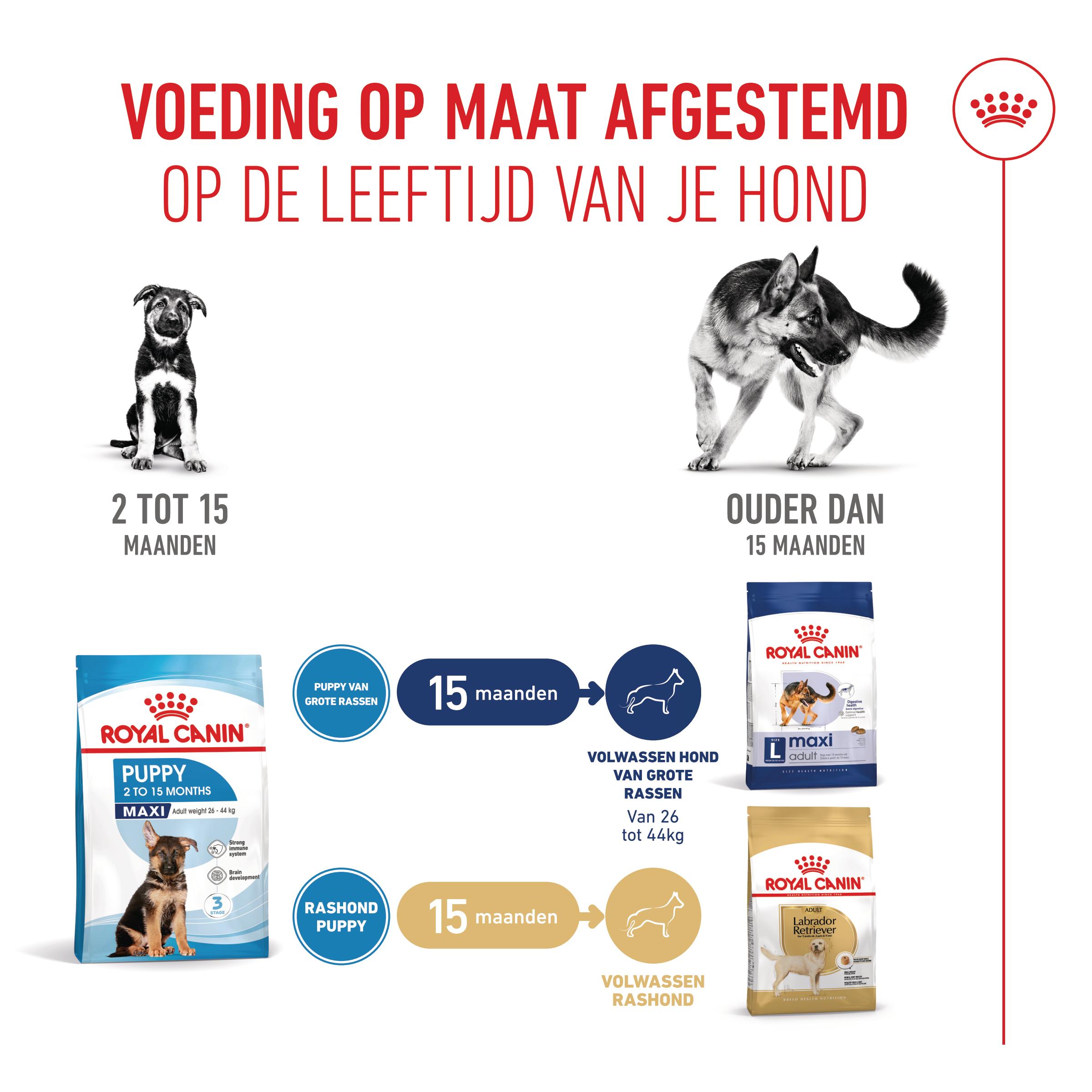 Royal Canin Maxi Puppy - Hondenvoer