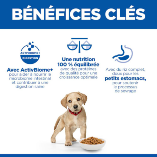 Hill's Science Plan Puppy Perfect Digestion Large Aliment pour chien
