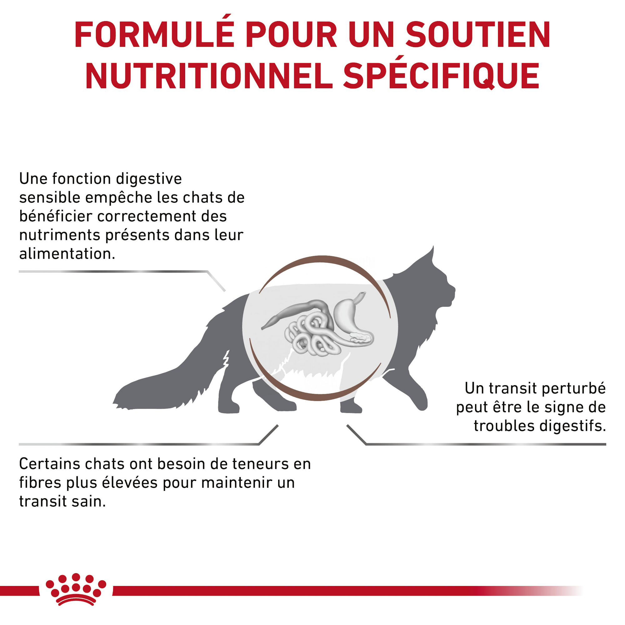 Royal Canin Gastrointestinal Fibre Response Chat - Sachet repas