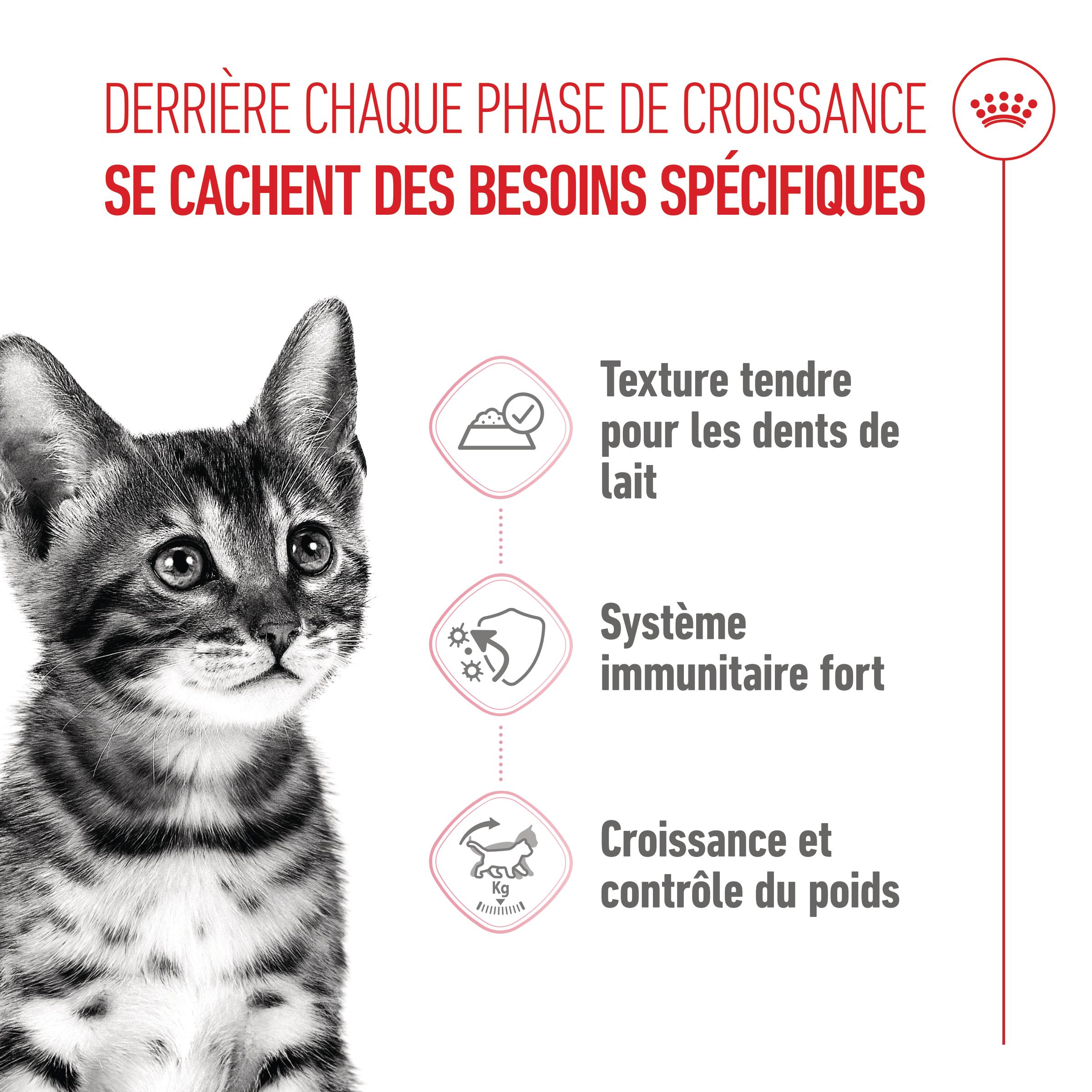 Royal Canin Kitten Sterilised in Gravy - Sachet