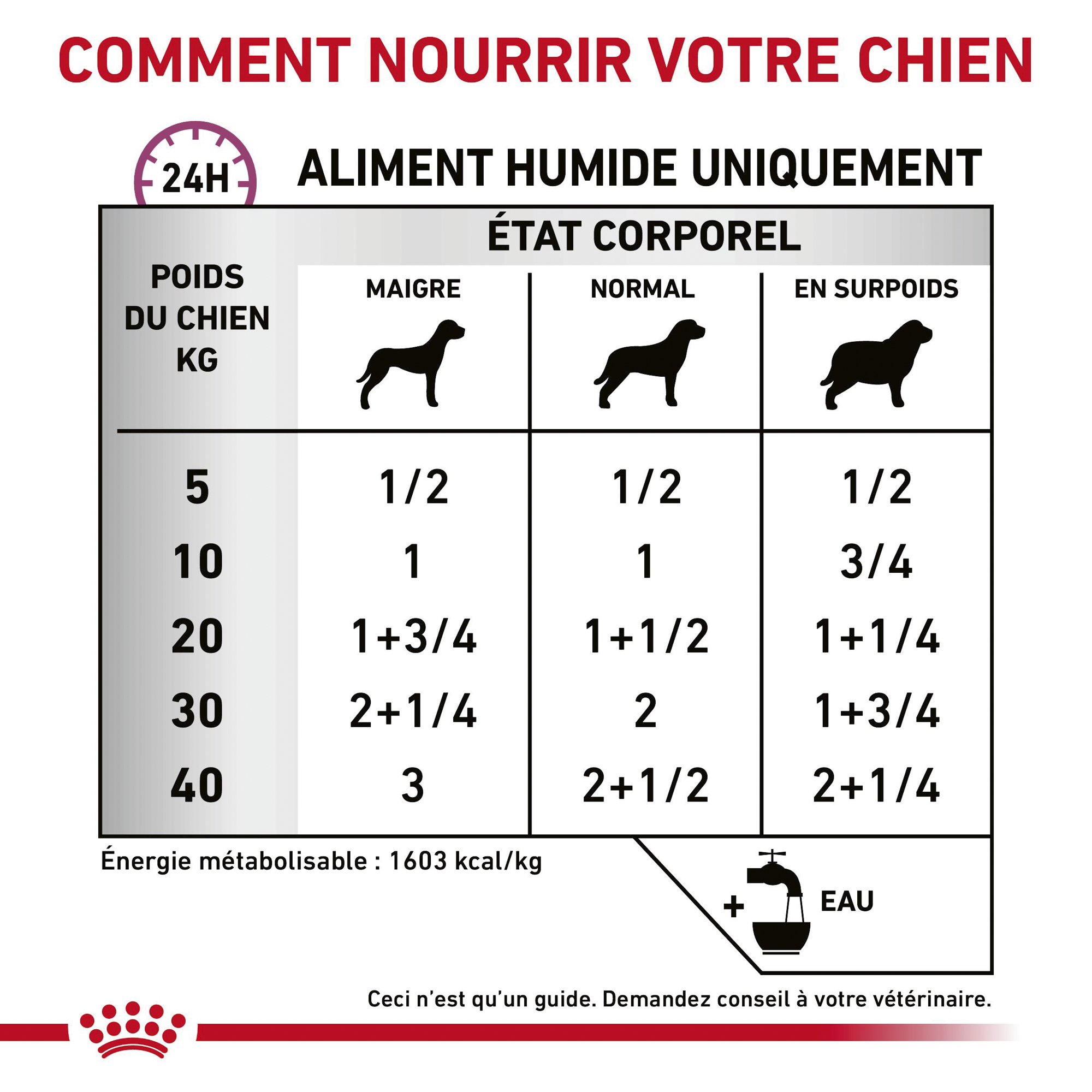 Royal Canin Renal Special Wet - Chien