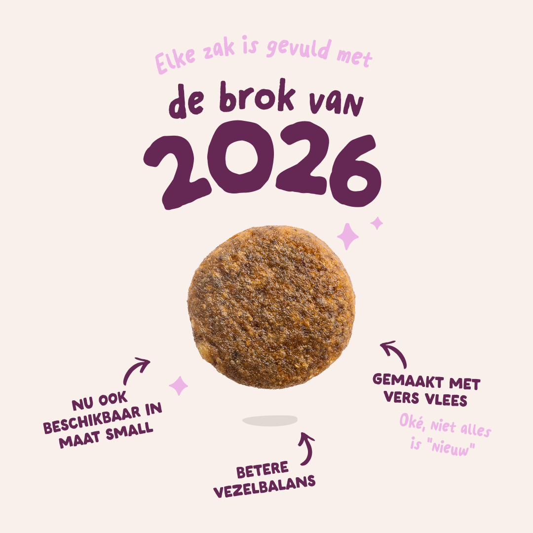 Edgard & Cooper Adult - Hert & Eend