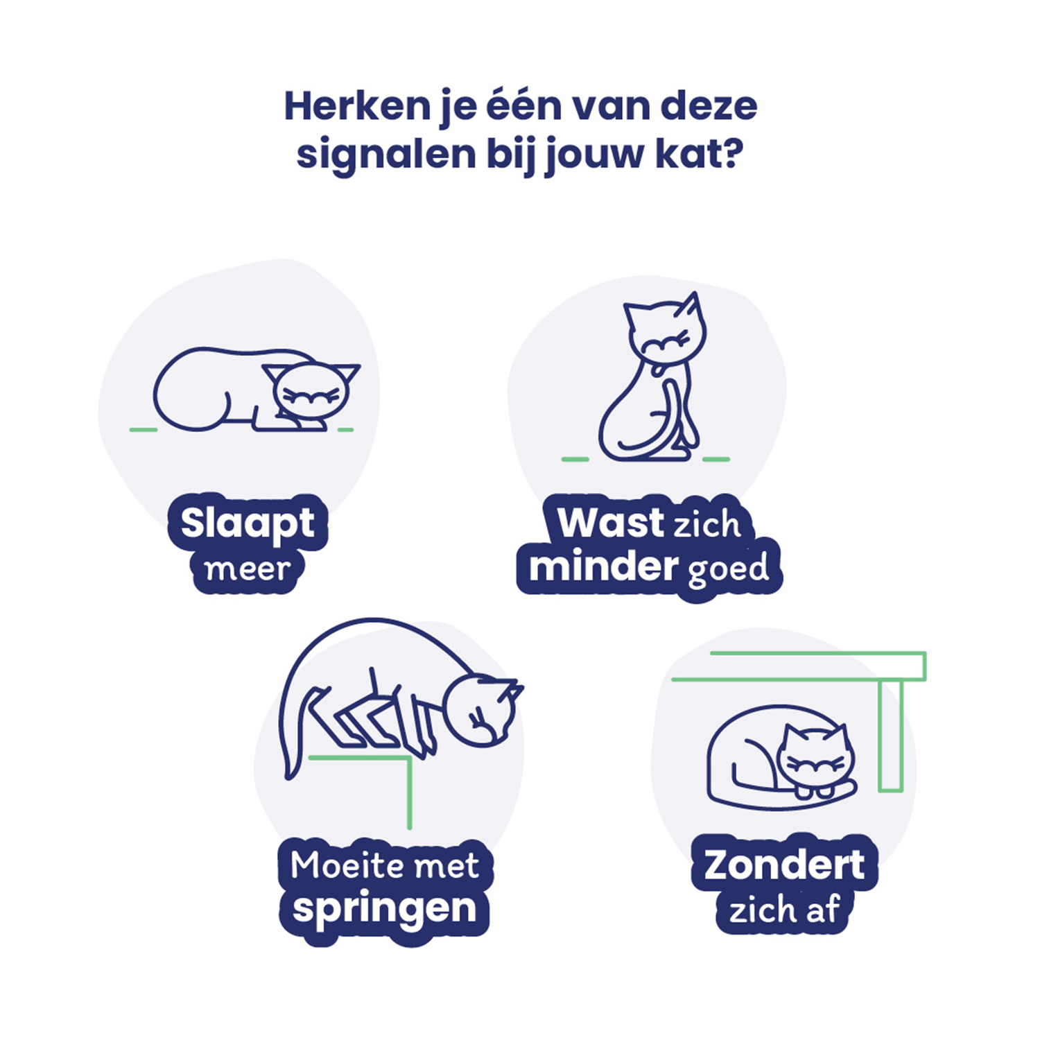 Flexadin Advanced Cat