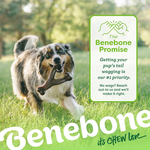 Benebone Wishbone