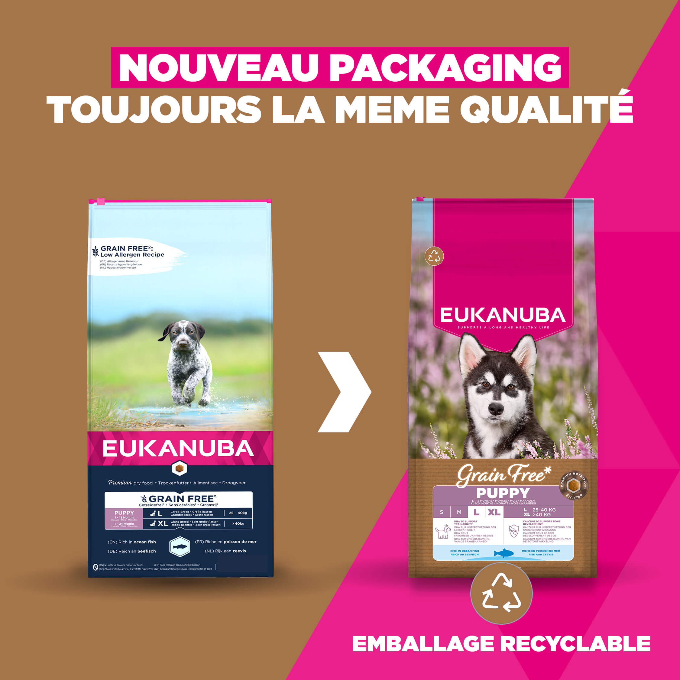 Eukanuba Nourriture pour chiens juniors de large taille sans céréales