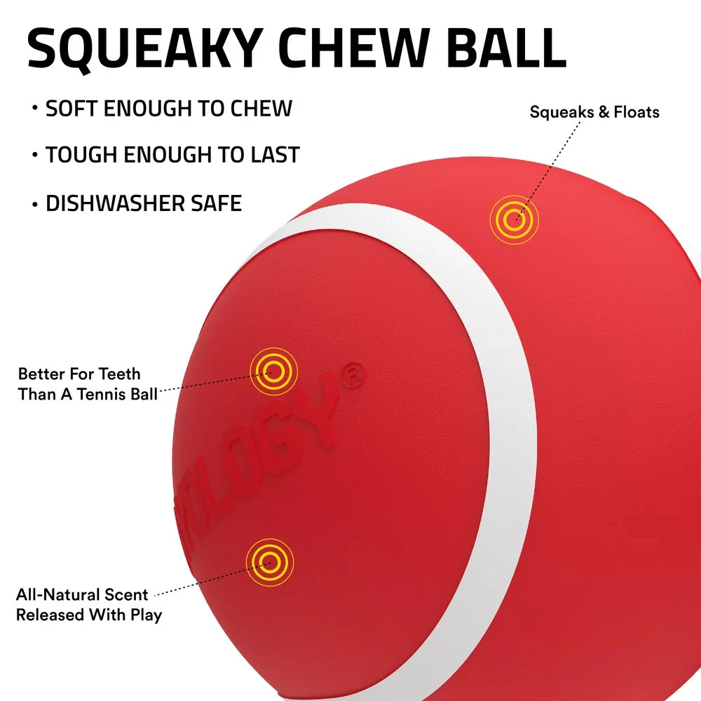 Playology Squeaky Chew Ball