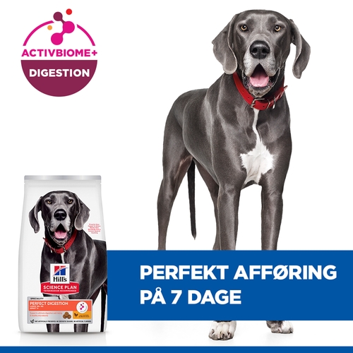 Hill's Science Plan Adult Perfect Digestion Large Breed Hundefoder