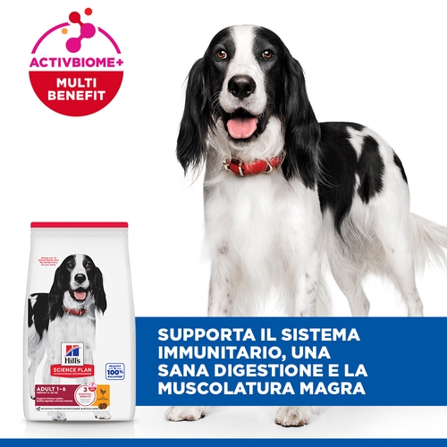 Hill's Science Plan - Medium - Adult - Pollo