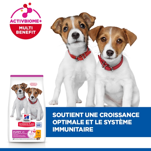 Hill's Science Plan Small & Mini - Chiot - Poulet