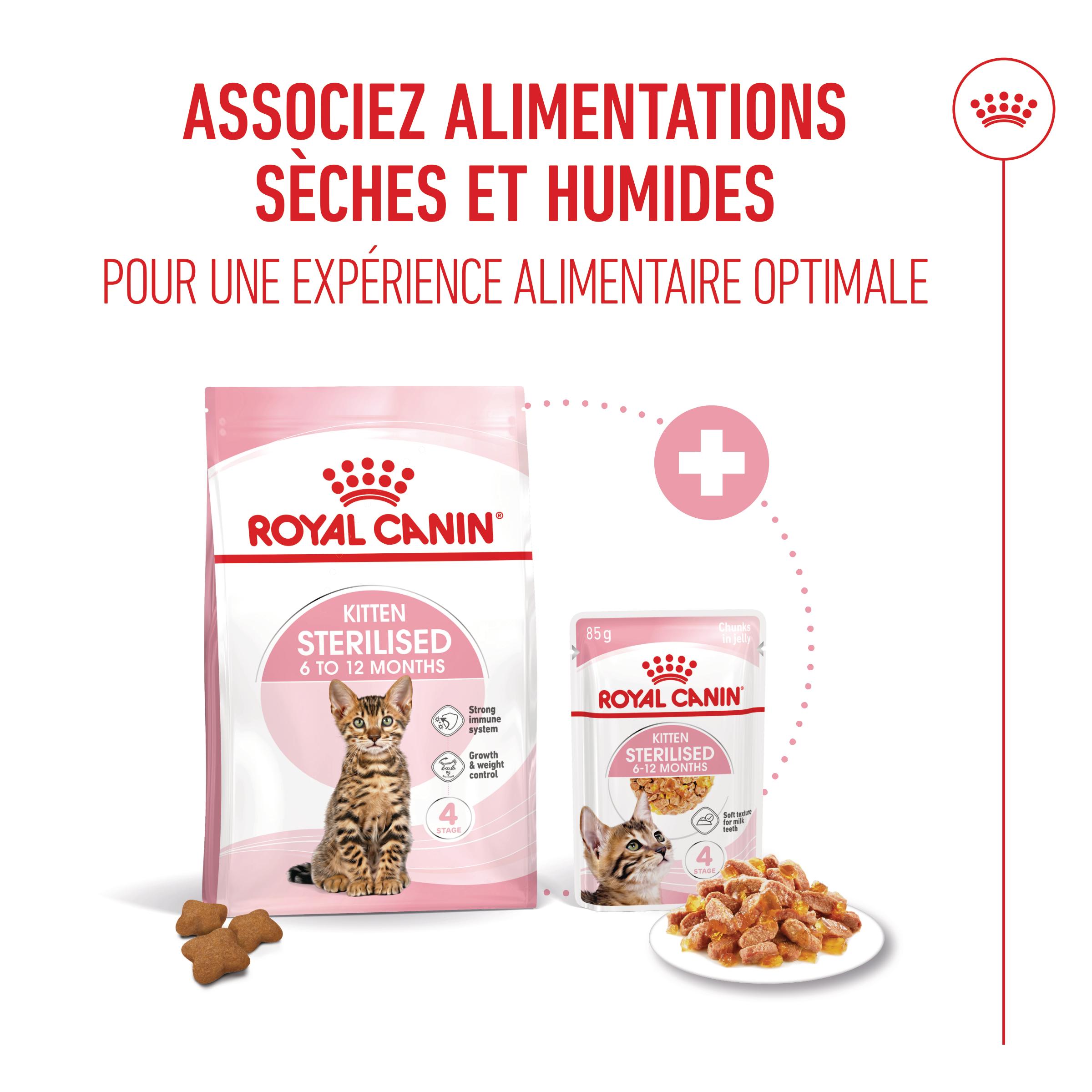 Royal Canin Kitten Sterilised in Jelly - Sachets