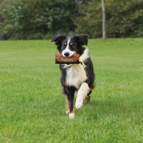 Trixie Dog Activity Preydummy
