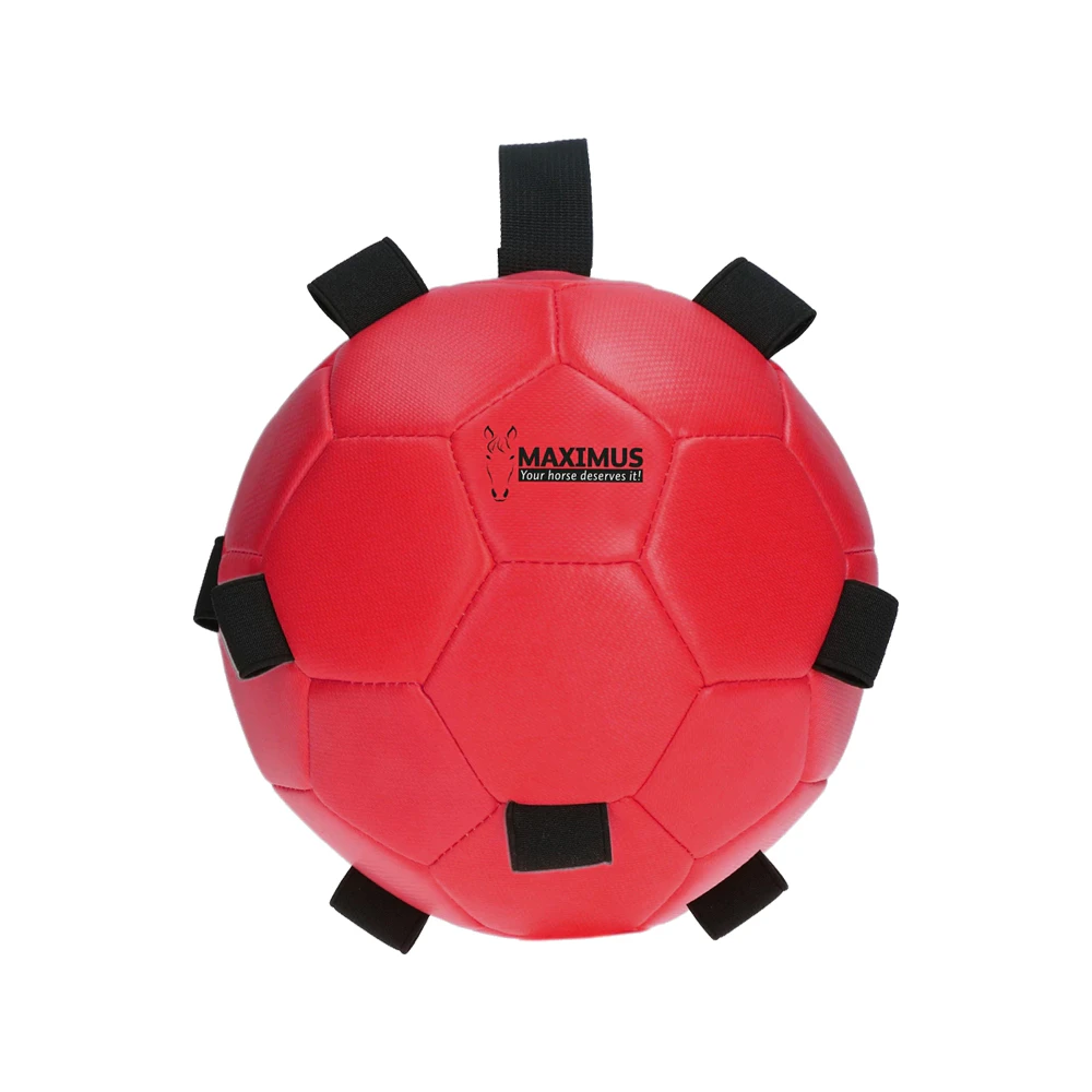 Excellent Horse Fun Play Ball