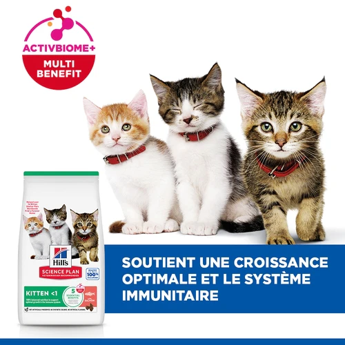 Hill's Science Plan - Chaton - Saumon