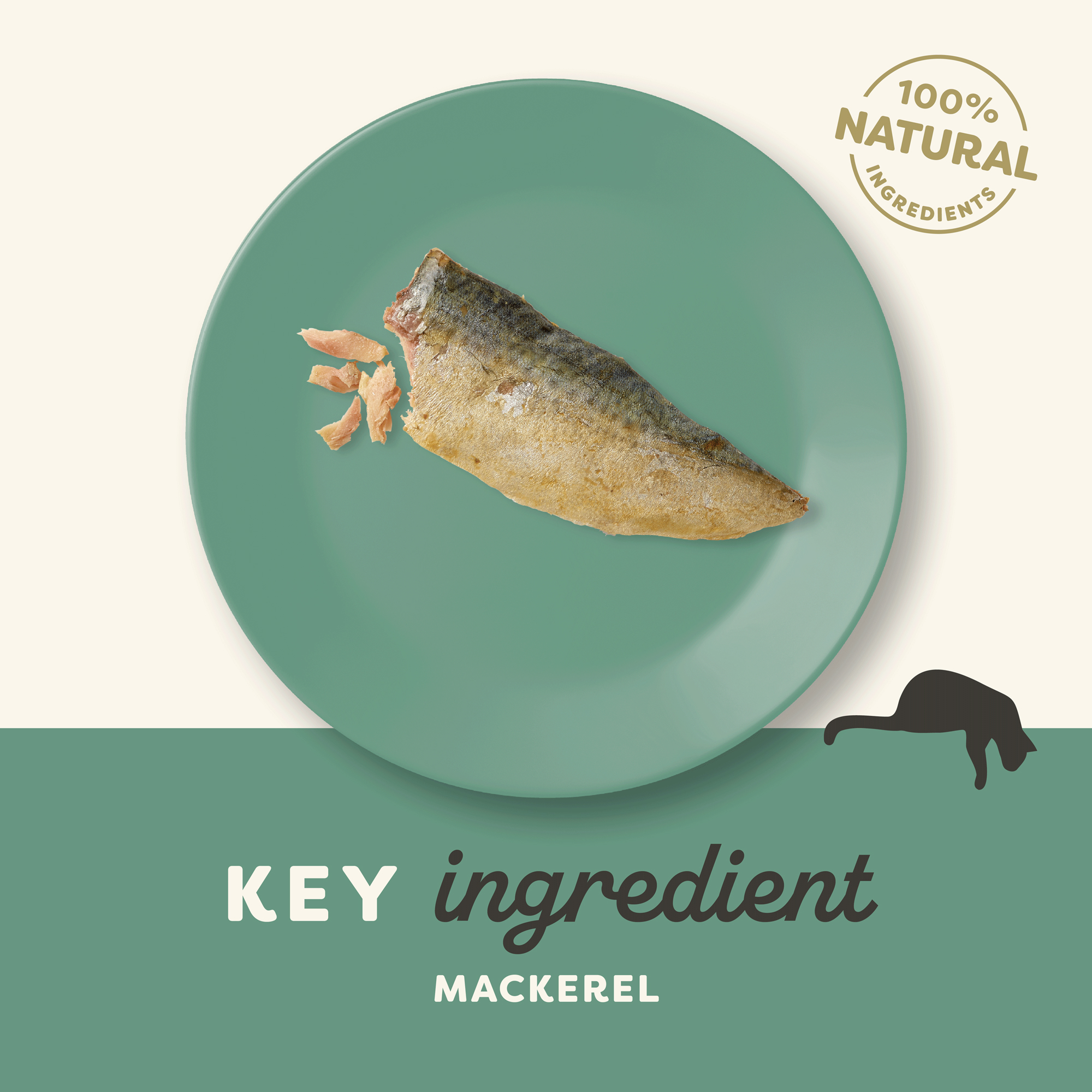 Applaws Cat - Mackerel Loin