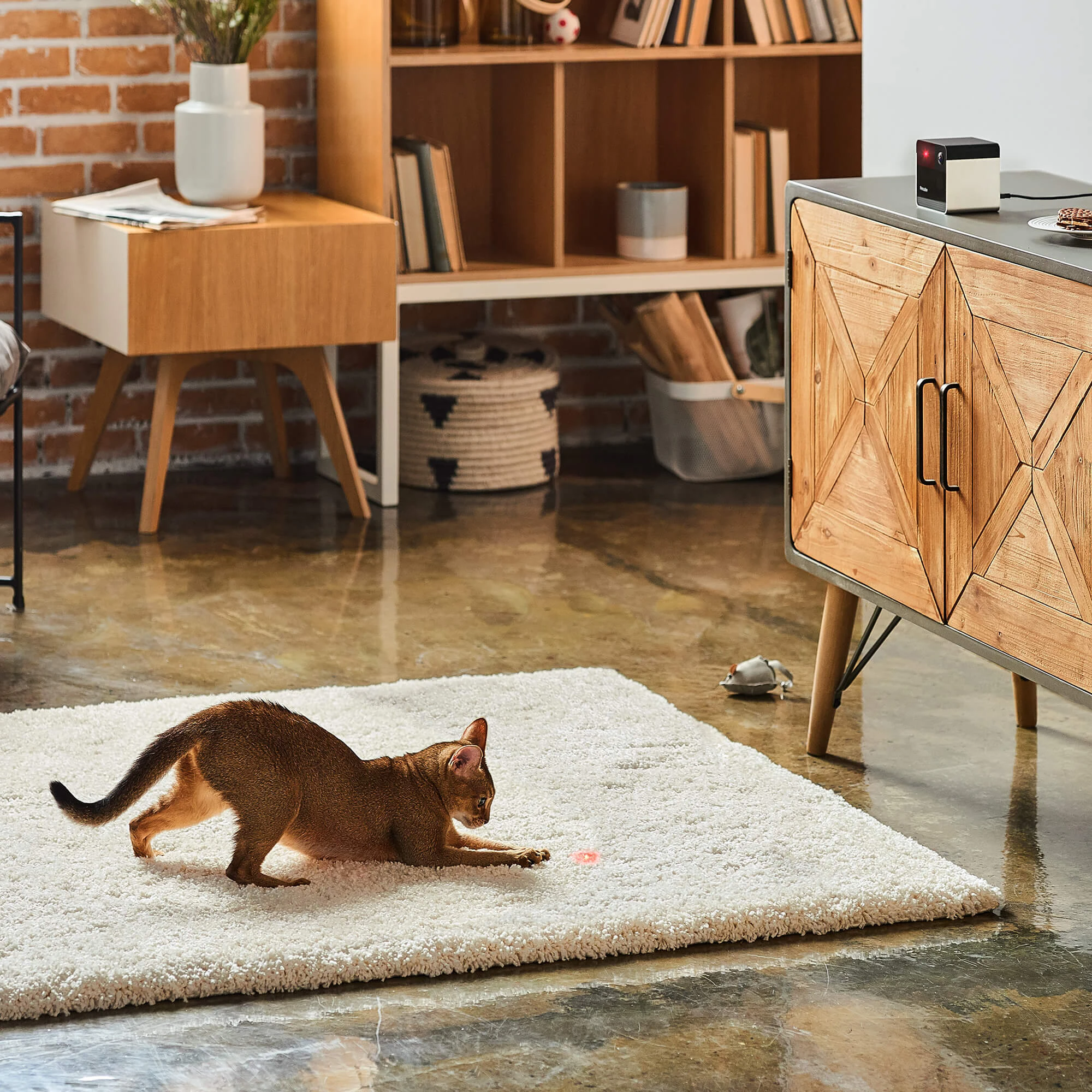 Petcube Play 2 Huisdiercamera