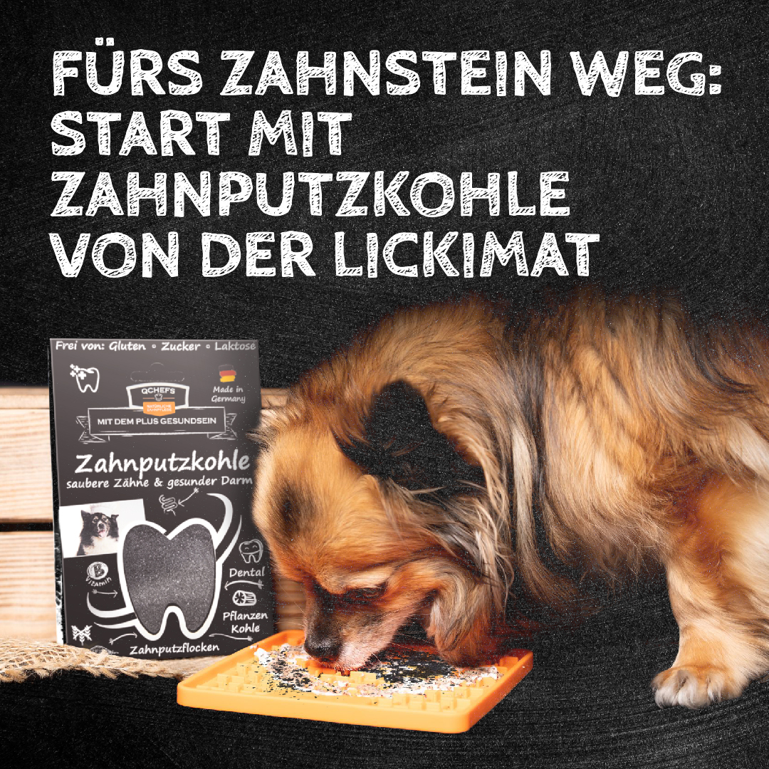Qchefs Zahnputzkohle Hund