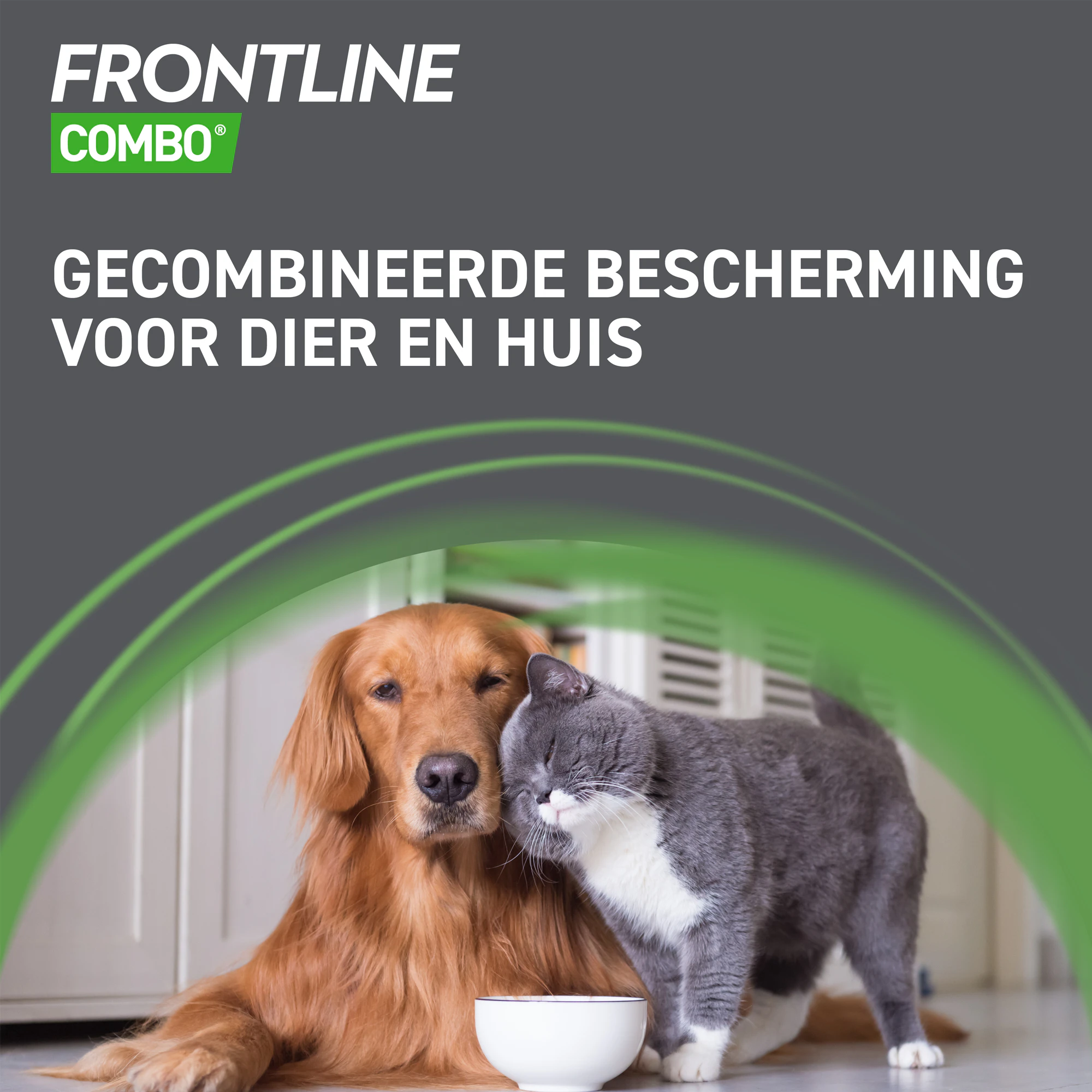 Frontline Combo Spot On Hond