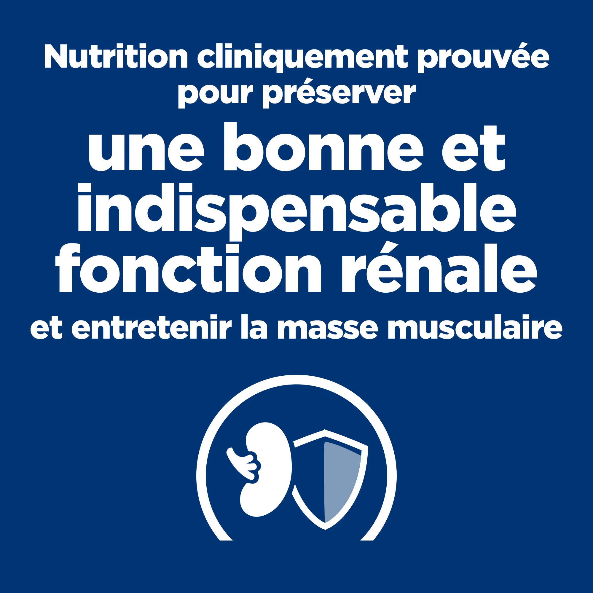 Hill's k/d Kidney Care - Prescription Diet - Félin - Mousse