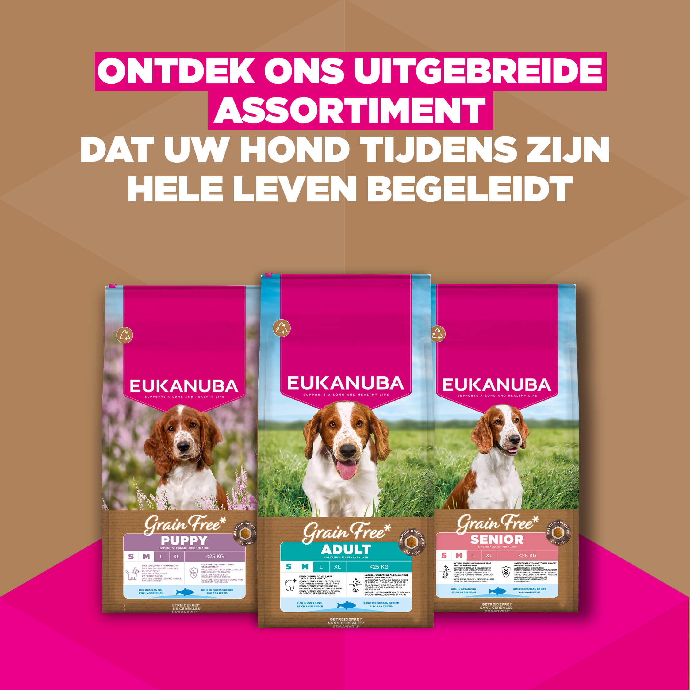 Eukanuba Dog Puppy Small/Medium Grainfree Hondenvoer