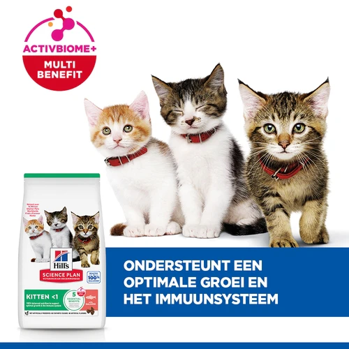Hill's Science Plan - Kitten - Zalm